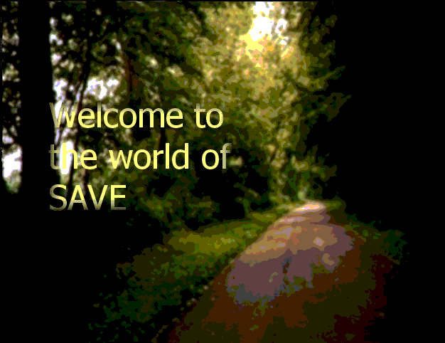 forest: click to enter SAVE website